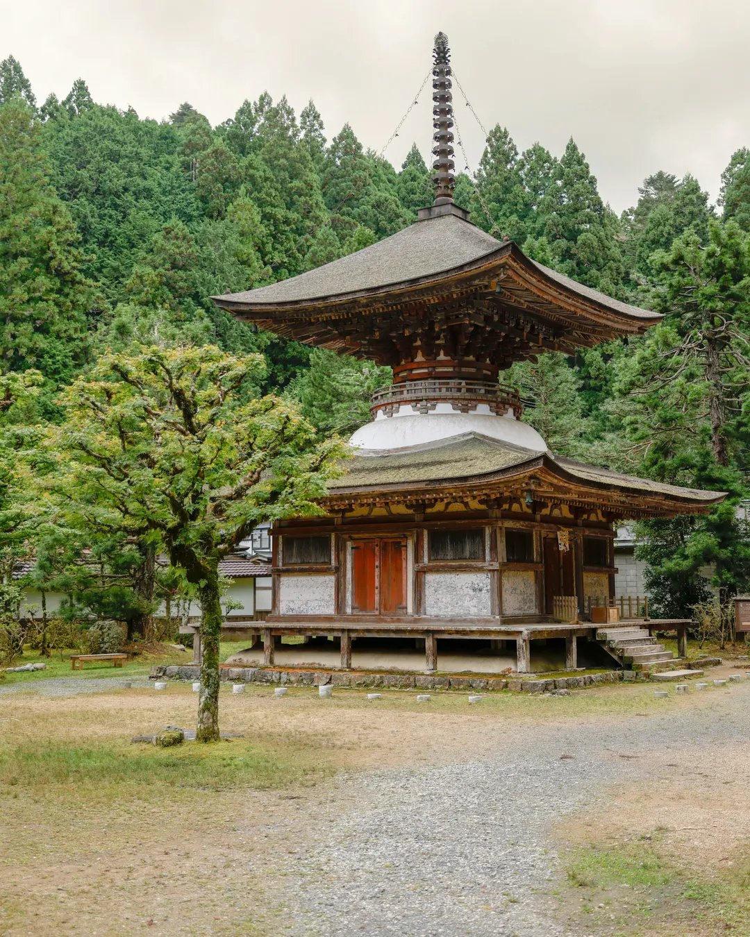 🏯 금강사 (콘고지) 이미지 4